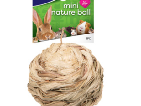 Ware Pet Products Mini Nature Ball (Mini) Online