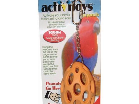 ACTIVITOYS NUT CASE Hot on Sale