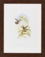 Surya Wall Decor LJ-4012 by John Gould Discount