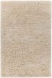 Chandra Osim OSI-35101 Area Rug on Sale