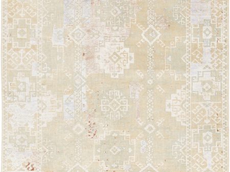 Chandra Vingel VIN-36804 Area Rug For Discount