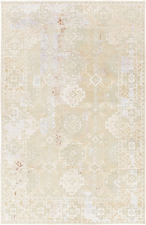 Chandra Vingel VIN-36804 Area Rug For Discount