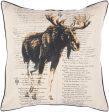 Surya Alaska Rustic Chic on Sale