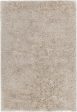 Chandra Joni JON-39301 Area Rug Online Sale