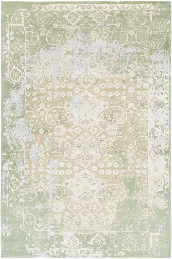 Chandra Vingel VIN-36805 Area Rug For Discount