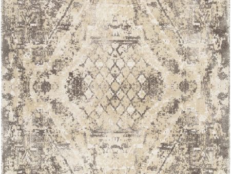 Chandra Tayla TAY-42405 Area Rug Sale