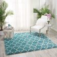 Nourison Amore AMOR2 Aqua Area Rug on Sale