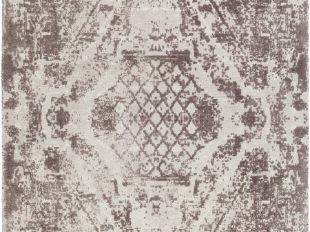 Chandra Tayla TAY-42402 Area Rug Supply