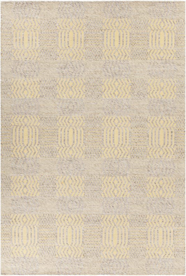 Chandra Salona SAL-34502 Area Rug For Discount