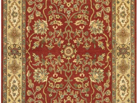 Chandra Adonia ADO-905 Area Rug Online now