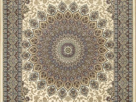 Dynamic Rugs Ancient Garden 57090 Ivory Area Rug Hot on Sale