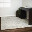 Dynamic Rugs Ancient Garden 57126 Silver Grey Area Rug Cheap