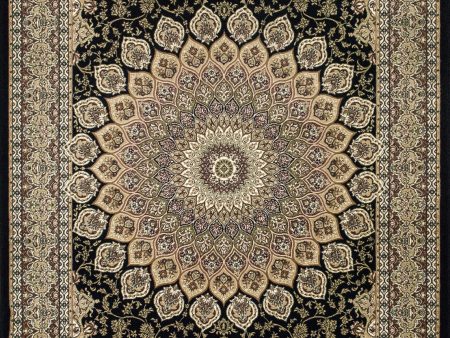 Dynamic Rugs Ancient Garden 57090 Navy Area Rug Online Sale