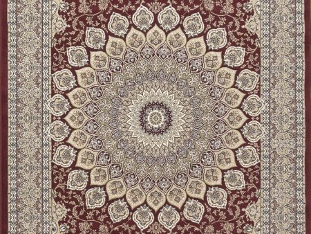 Dynamic Rugs Ancient Garden 57090 Red Area Rug Online Sale