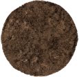 Chandra Sunlight SUN-9800 Area Rug Fashion