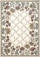 Dynamic Rugs Ancient Garden 57084 Ivory Area Rug Fashion