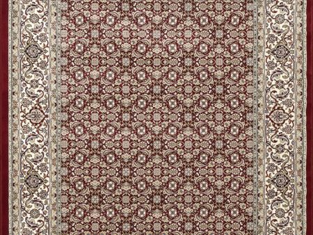 Dynamic Rugs Ancient Garden 57011 Red Ivory Area Rug on Sale