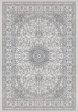 Dynamic Rugs Ancient Garden 57119 Soft Grey Cream Area Rug Online now