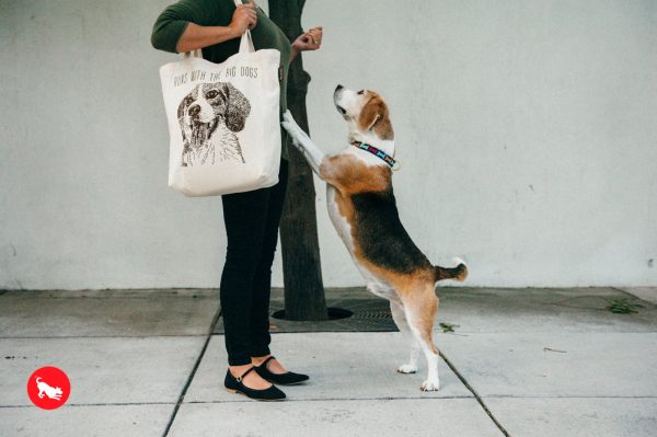 P.L.A.Y. Best in Show Totes: Beagle Online now