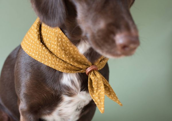 Tori Bandana for Dogs and Cats For Cheap