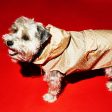 Anorak Dog Raincoat with Hood: Tan   White Polka Dot on Sale