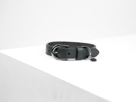 MaxBone Jet Black Dog Collar Hot on Sale