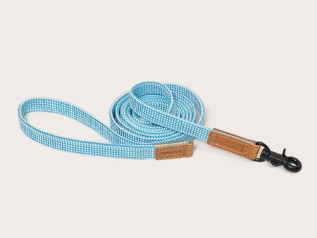 We are Tight: Ribbon Dog Leash, Cloud Bay Online now