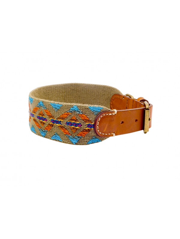 Dog Collar: Etna Green Supply