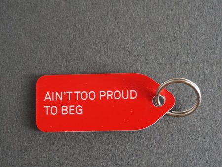 Dog collar Charm: Ain t Too Proud to Beg Discount