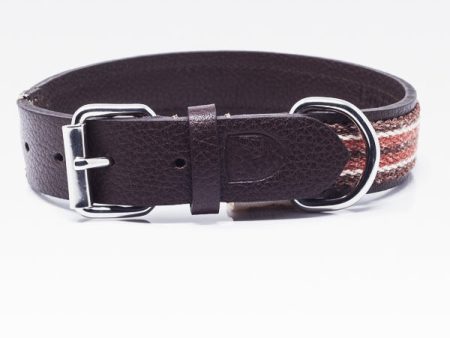 Dog Collar: Reforce Brown Online Hot Sale