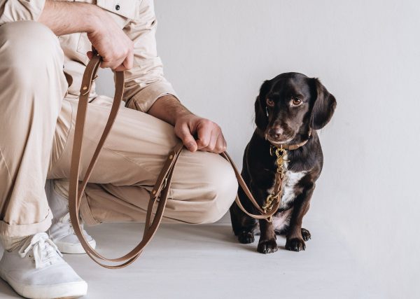 Lasso Leather Dog Leash Online Hot Sale