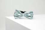 MaxBone Chloe B Dog Bow Tie Cheap