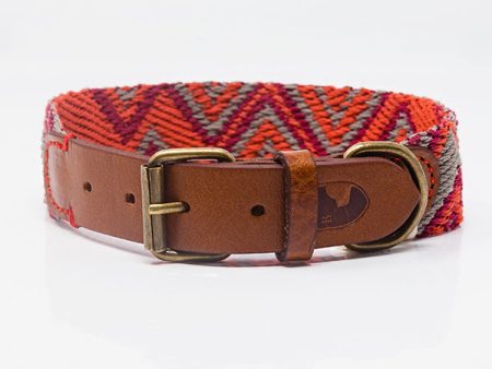 Dog Collar: Peruvian Pikes For Sale