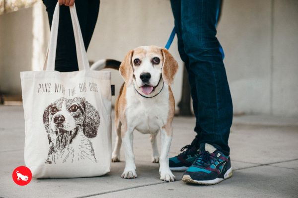 P.L.A.Y. Best in Show Totes: Beagle Online now