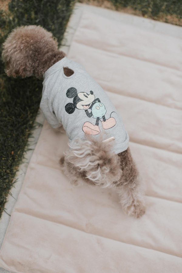 MaxBone Mickey Mouse Classic T-shirt for Dogs and Cats Online Hot Sale