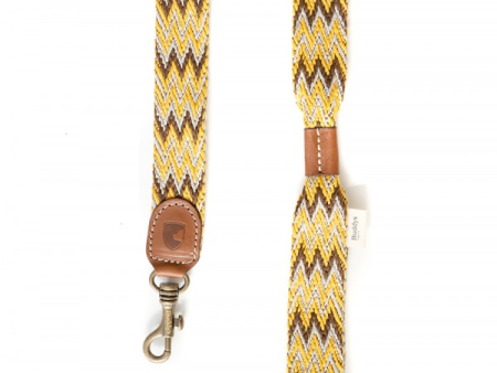 Dog Lead: Peruvian Gold on Sale