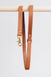 Hitch, Short Leather Dog Leash Online Sale